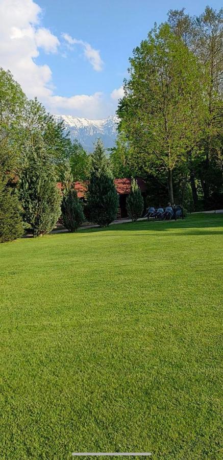 Hotel Garden Retreat Junior (Adults Only) à Bran  Extérieur photo
